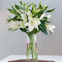 Red roses and gift cards 3